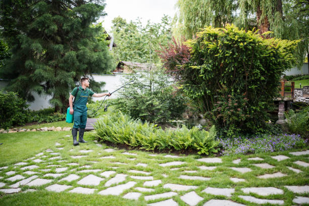 Best Best Pest Control Companies  in Oak Hills Pce, LA