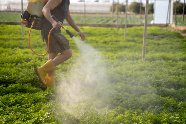 Best Best Pest Control Companies  in Oak Hills Pce, LA