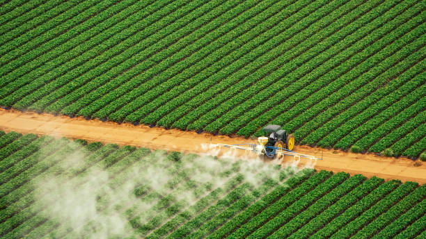 Best Commercial Pest Control Services  in Oak Hills Pce, LA